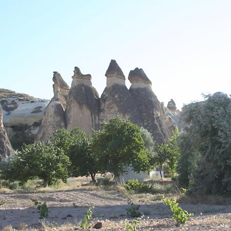 Anatolia Cave Hotel Pension Goreme Exterior photo